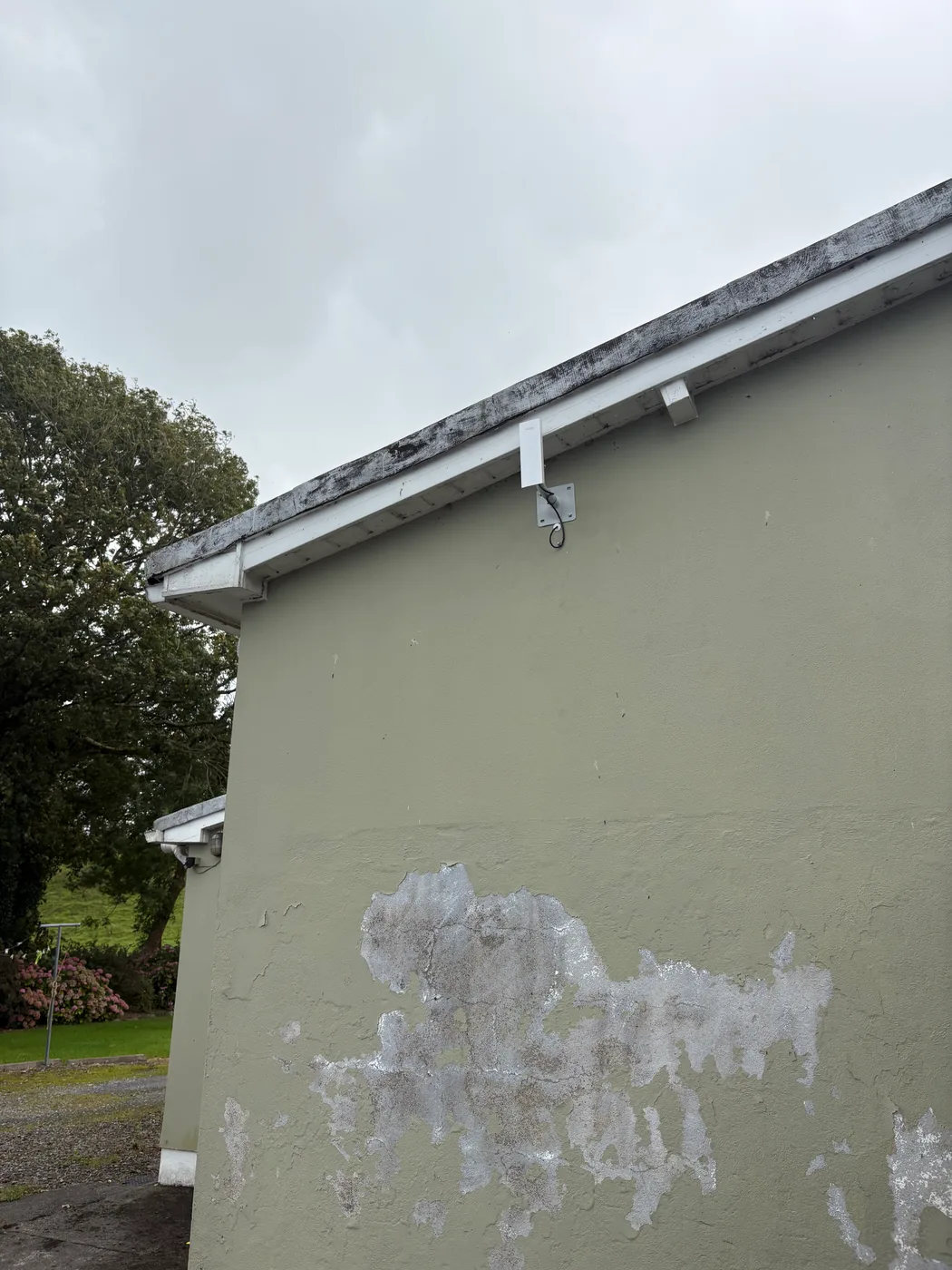 House-side point-to-point wireless bridge mounted below the roofline at Peter’s property
